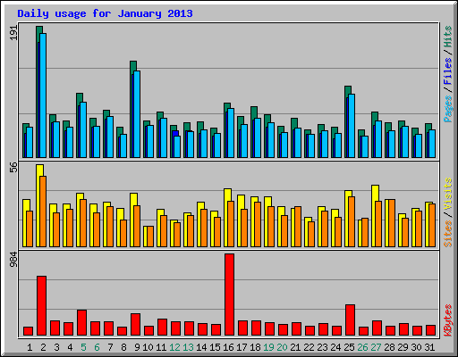 Daily usage for January 2013