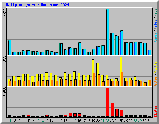 Daily usage for December 2024