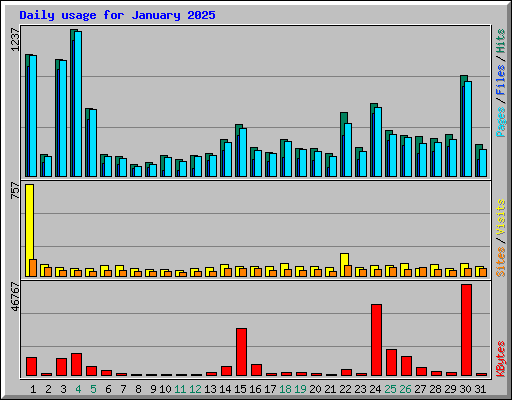 Daily usage for January 2025