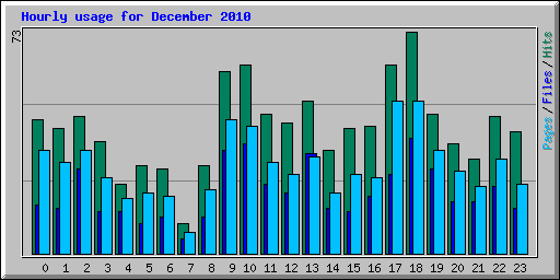 Hourly usage for December 2010