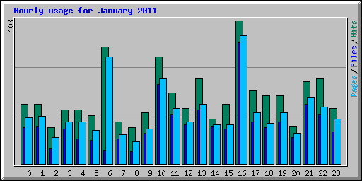 Hourly usage for January 2011