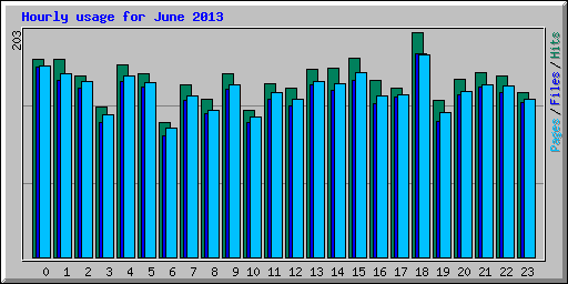 Hourly usage for June 2013
