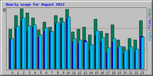 Hourly usage for August 2013