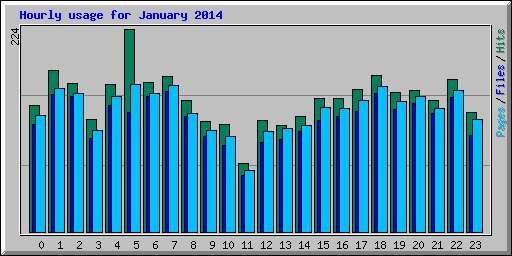 Hourly usage for January 2014