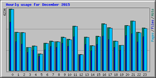 Hourly usage for December 2015