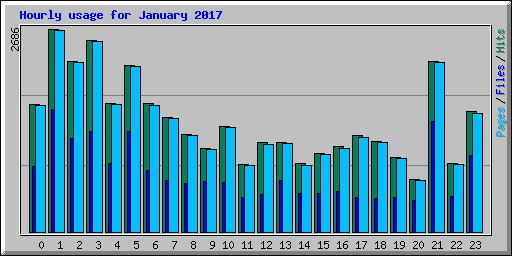 Hourly usage for January 2017