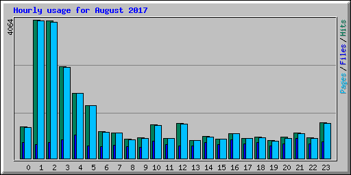 Hourly usage for August 2017