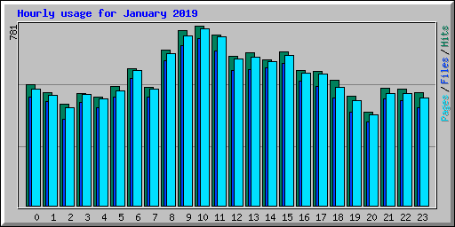 Hourly usage for January 2019