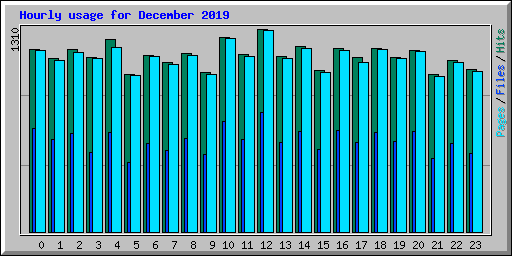 Hourly usage for December 2019