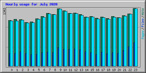 Hourly usage for July 2020