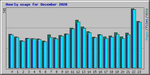 Hourly usage for December 2020