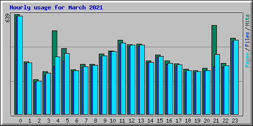 Hourly usage for March 2021