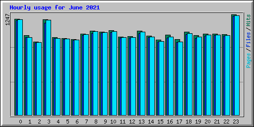 Hourly usage for June 2021