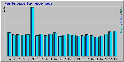 Hourly usage for August 2021