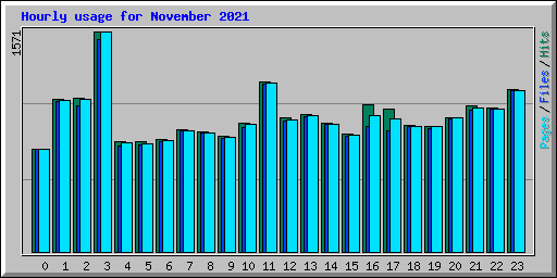 Hourly usage for November 2021