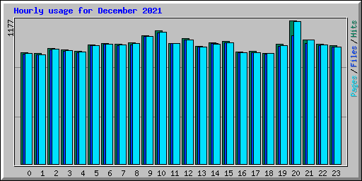 Hourly usage for December 2021