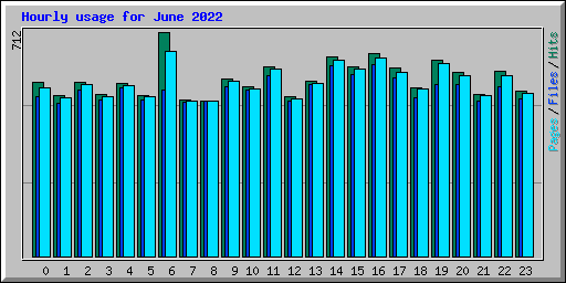 Hourly usage for June 2022