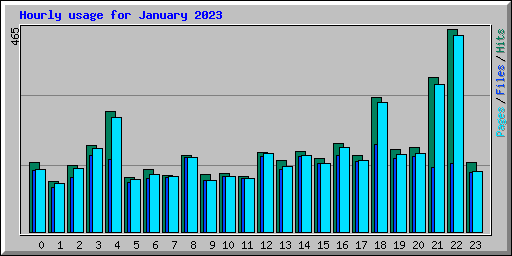 Hourly usage for January 2023