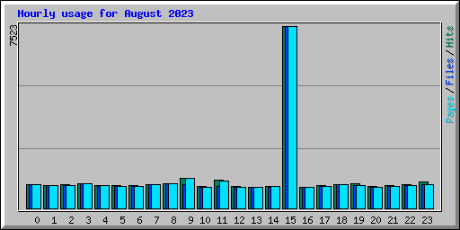 Hourly usage for August 2023