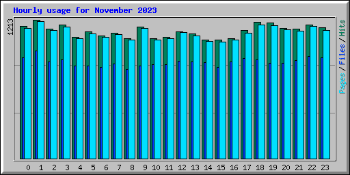 Hourly usage for November 2023