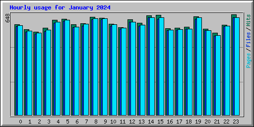 Hourly usage for January 2024