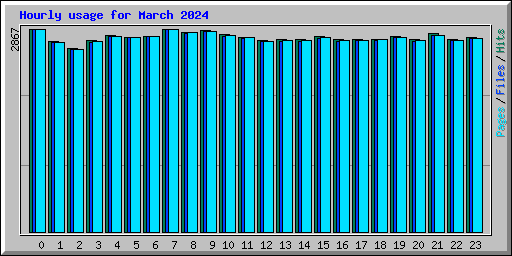 Hourly usage for March 2024