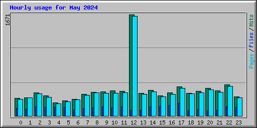 Hourly usage for May 2024