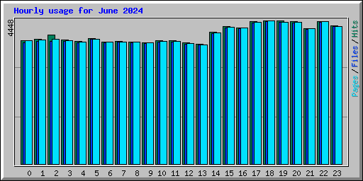 Hourly usage for June 2024