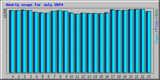 Hourly usage for July 2024