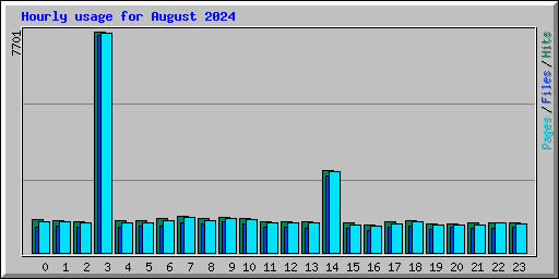 Hourly usage for August 2024