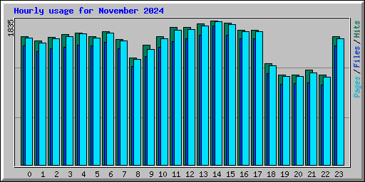Hourly usage for November 2024