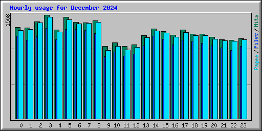 Hourly usage for December 2024