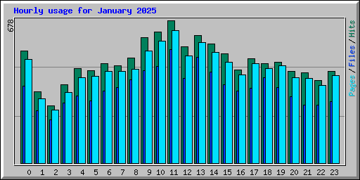 Hourly usage for January 2025