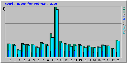 Hourly usage for February 2025