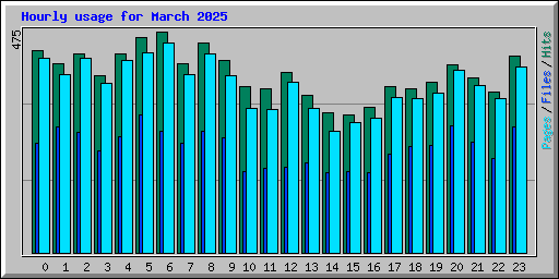 Hourly usage for March 2025