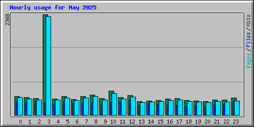 Hourly usage for May 2025