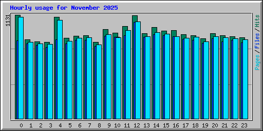 Hourly usage for November 2025