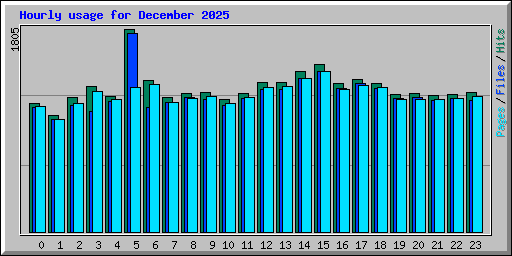 Hourly usage for December 2025