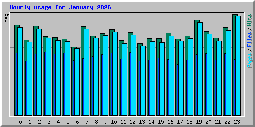 Hourly usage for January 2026