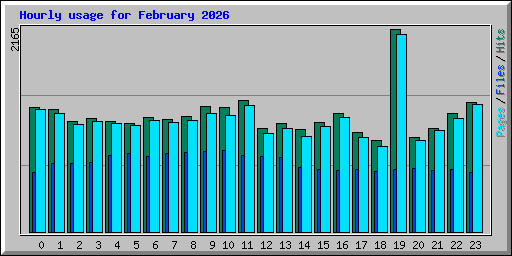Hourly usage for February 2026