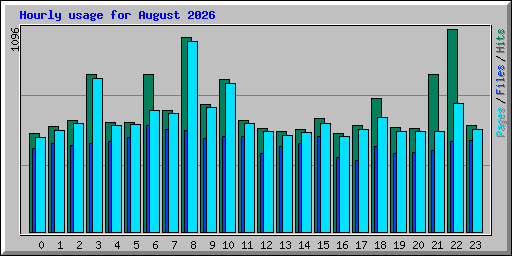 Hourly usage for August 2026